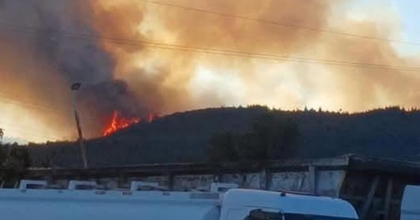 ALİAĞA'DAKİ ORMAN YANGIYLA İLGİLİ 1 KİŞİ TUTUKLANDI