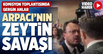 ARPACI’NIN ZEYTİN SAVAŞI