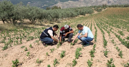 BÜYÜKŞEHİR, DOLU FELAKETİNİN YARALARINI SARIYOR