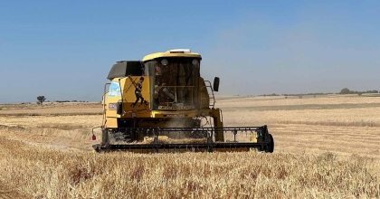 UŞAK’TA KURAKLIĞA DAYANIKLI ARPA VE BUĞDAYIN HASADINA BAŞLANDI