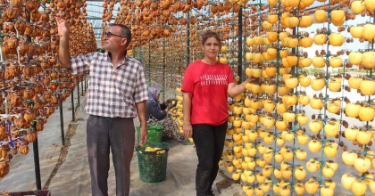 MANİSA'NIN İLK 5 AYLIK TARIM İHRACATI 400 MİLYON DOLARA YAKLAŞTI