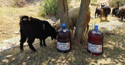 AYDIN’DA ORMAN YANGINLARINA KARŞI YENİ TEDBİR ALINDI