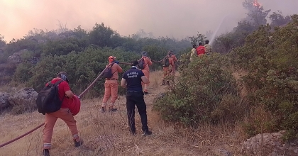 ALEVLERİN İÇİNDE HAYATTA KALMA MÜCADELESİ