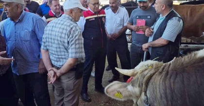 AYDIN’DA KURBAN SATIŞ YERLERİ DENETLENİYOR