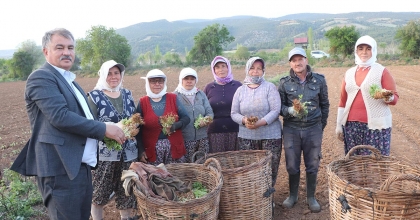 BEYAĞAÇ’TA TÜTÜN KIRIM VE BİÇERDÖVER ÜCRETLERİ BELİRLENDİ