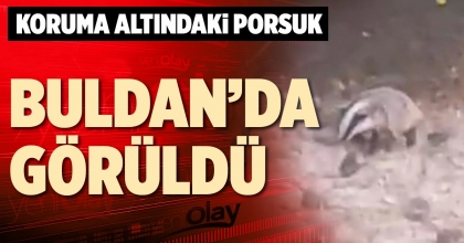 BULDAN’DA GÖRÜLDÜ