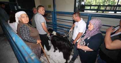 BÜYÜKŞEHİR MEZBAHALARI BAYRAMDA TAM KAPASİTE ÇALIŞTI