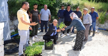 ÇAMELİ’DE VATANDAŞLARA FİDE DAĞITILDI