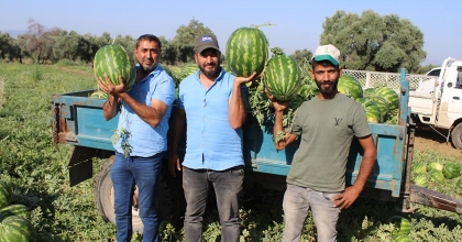 ÇUKUROVA'DAN SONRA TÜRKİYE'NİN GÖZÜ BURADA