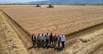 DENİZLİ’DE ARPA HASADI HAVADAN GÖRÜNTÜLENDİ