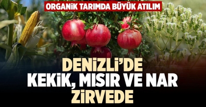 DENİZLİ’DE KEKİK, MISIR VE NAR ZİRVEDE