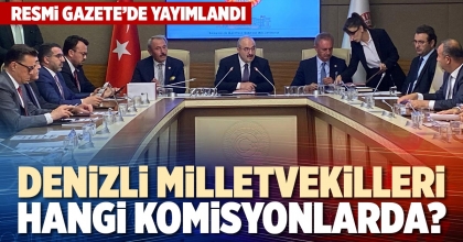 DENİZLİ MİLLETVEKİLLERİ HANGİ KOMİSYONLARDA?
