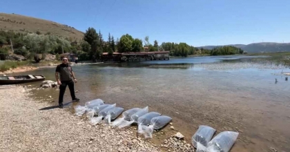 DİNAR’DA BARAJ VE GÖLETLERE 205 BİN YAVRU BALIK SALINDI