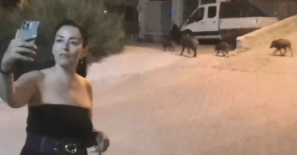 DOMUZLARLA SELFİE MODASI