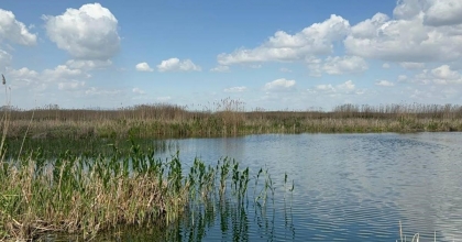EBER GÖLÜ'NDE AZALAN SU SEVİYESİ ENDİŞE VERİCİ BOYUTLARA GELDİ