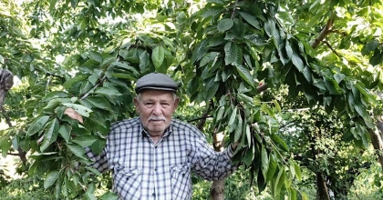 EGE BU YIL MEYVEYE HASRET