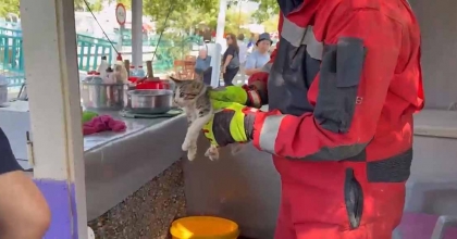 FETHİYE’DE OTOMOBİLDE SIKIŞAN YAVRU KEDİ KURTARILDI