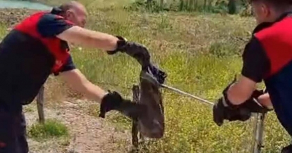 GEDİZ'DE YILAN VE KENE ALARMI