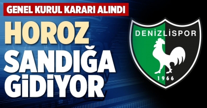 HOROZ SANDIĞA GİDİYOR