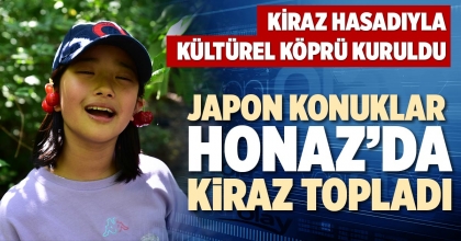 JAPON KONUKLAR HONAZ’DA KİRAZ TOPLADI