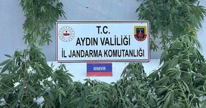 JANDARMADA UYUŞTURUCU OPERASYONU: 16 GÖZALTI