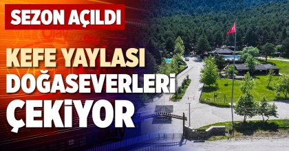 KEFE YAYLASI DOĞASEVERLERİ ÇEKİYOR
