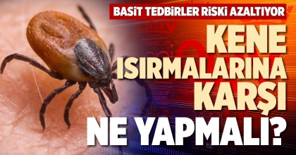 KENE ISIRMALARINA KARŞI NE YAPMALI?