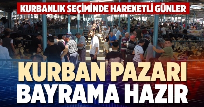 KURBAN PAZARI BAYRAMA HAZIR