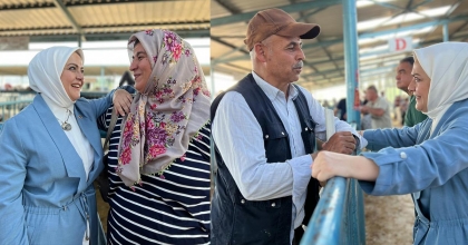 KURBAN PAZARINDA FİYATLARI İNCELEDİ