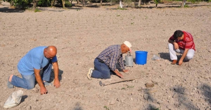 KIRKAĞAÇ KAVUNU'NDA TOHUMLAR TOPRAKLA BULUŞTU
