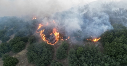 KULA’DA MAKİLİK ALANDA ÇIKAN YANGIN KONTROL ALTINA ALINDI