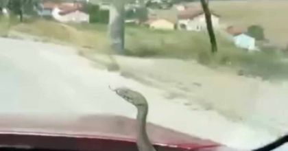 KÜTAHYA'DA 'ARACIN KAPUTUNDAN ÇIKAN YILAN' ŞAŞKINLIĞI