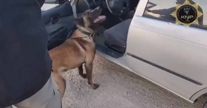 KÜTAHYA'DA UYUŞTURUCU OPERASYONUNDA THOR'UN BAŞARISI