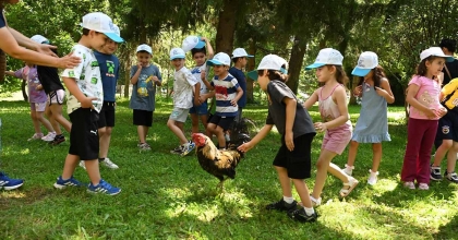 MİNİKLER GERÇEK DENİZLİ HOROZU’NU YAKINDAN TANIDI