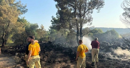 ORMAN YANGININA NEDEN OLAN ŞAHIS TUTUKLANDI