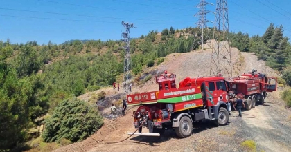 MARMARİS’TEKİ ORMAN YANGINI BÜYÜMEDEN SÖNDÜRÜLDÜ