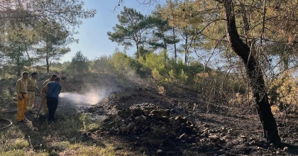 MENTEŞE YANGINI BÜYÜMEDEN SÖNDÜRÜLDÜ