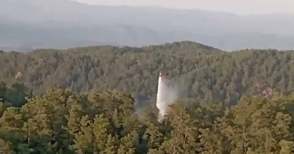 MUĞLA VE AYDIN'DAKİ ORMAN YANGINLARI BÜYÜMEDEN SÖNDÜRÜLDÜ