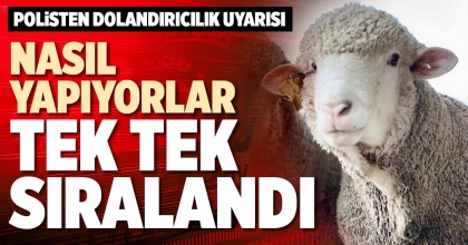 NASIL YAPIYORLAR TEK TEK SIRALANDI