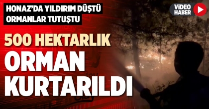 500 HEKTARLIK ORMAN KURTARILDI