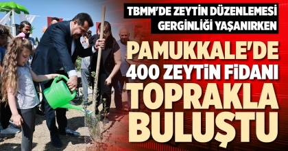 PAMUKKALE'DE 400 ZEYTİN FİDANI TOPRAKLA BULUŞTU