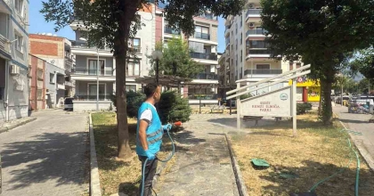SÖKE'DE PARK VE BAHÇELERDE 'KENE' MÜCADELESİ