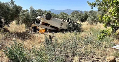 TİCARİ ARAÇ ZEYTİNLİĞE UÇTU: 1 ÖLÜ