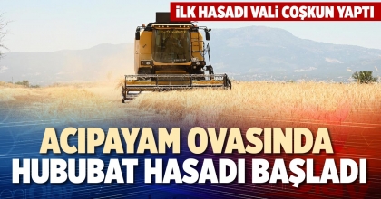 ACIPAYAM OVASINDA HUBUBAT HASADI BAŞLADI