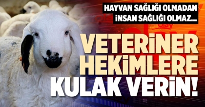 VETERİNER HEKİMLERE KULAK VERİN!