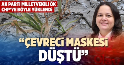 “ÇEVRECİ MASKESİ DÜŞTÜ”
