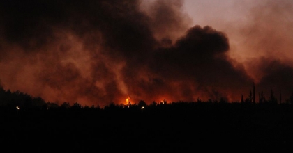 GDZ ELEKTRİK’TEN ORMAN YANGINLARI AÇIKLAMASI