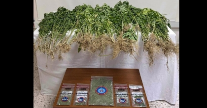 SARAYKÖY’DE UYUŞTURUCU OPERASYONU