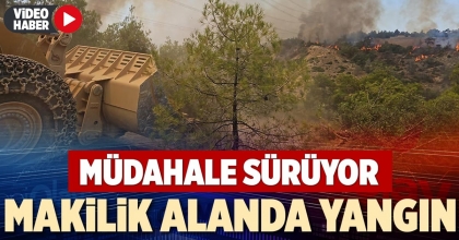 MAKİLİK ALANDA YANGIN