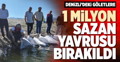 1 MİLYON SAZAN YAVRUSU BIRAKILDI